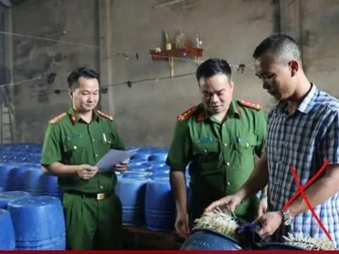 Khởi tố chủ cơ sở bán 60 tấn giá đỗ dùng chất kích thích tăng trưởng