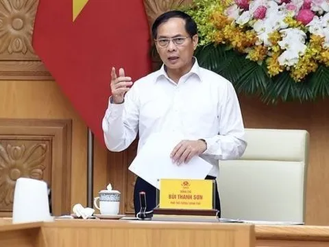 Phó Thủ tướng chỉ đạo 'nóng': Kiểm tra xử lý ngay khi người dân phản ánh hàng giả