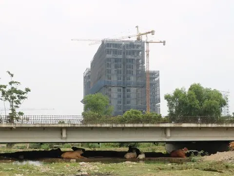 Đoạn Vành đai 2 “ngủ quên” giữa lòng TP Thủ Đức