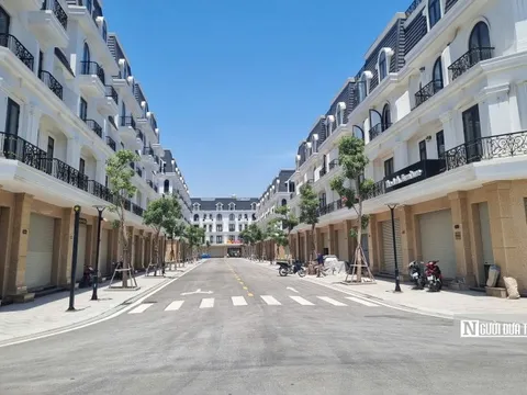 Loạt dự án tại Hải Phòng của Hoàng Huy