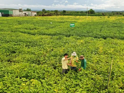 Chuyện người giữ sức khỏe cho đất
