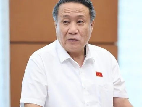 Đại biểu Quốc hội: Có người lỗ hàng trăm triệu trong vài ngày khi mua vàng