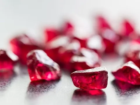 'Ruby đỏ' của Việt Nam ngon đến mức người Trung Quốc cũng phải tấm tắc khen: chuẩn bị xuất khẩu hàng nghìn tấn, chất lượng hàng đầu thế giới