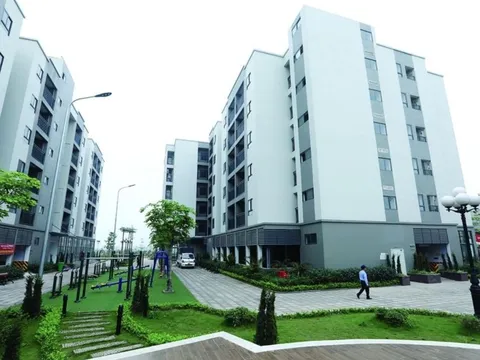 Địa phương sẽ tự xác định tiêu chí được mua, thuê mua nhà ở xã hội