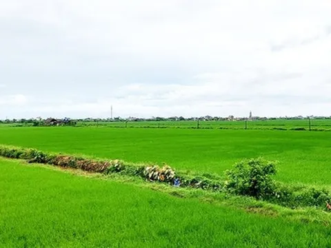 Người dân lưu ý một số điều kiện quan trọng sau đây khi muốn chuyển nhượng đất đai trong năm 2025