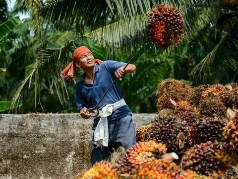 Một ngành giúp Malaysia thu 26 tỷ USD/năm, nước bạn kỳ vọng "Việt Nam mở ra cơ hội tuyệt vời cho chúng ta"