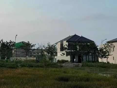 Mua đất quê 1.200m2 từ thời giá chỉ 500.000 đồng, người phụ nữ vui mừng: Vừa rao bán 6,5 tỷ đồng đã có người mua ngay