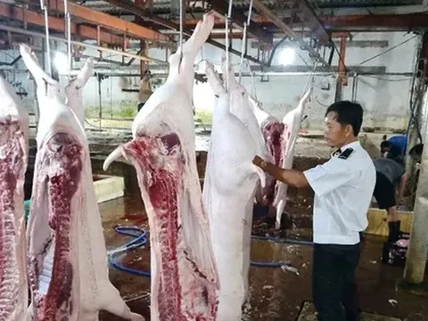 Lộ sai phạm kiểm soát tại lò mổ heo cho Công ty C.P Việt Nam