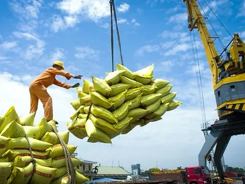 Xuất khẩu gạo đối diện với rủi ro kép
