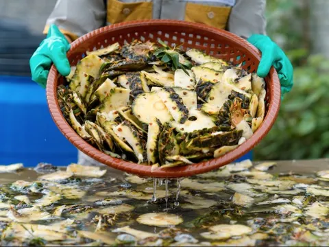 Công ty Việt biến vỏ quả bỏ đi thành mặt hàng kiếm tiền tỷ, chinh phục thị trường Mỹ và Trung Quốc