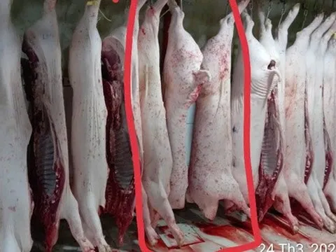 Vụ tố cửa hàng C.P. Việt Nam: Ông L.Q.N lại tung thêm bằng chứng?