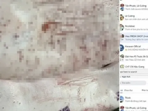 Chủ tịch UBND tỉnh Hậu Giang chỉ đạo "nóng" sau vụ C.P. Việt Nam bị "tố" bán thịt heo bệnh