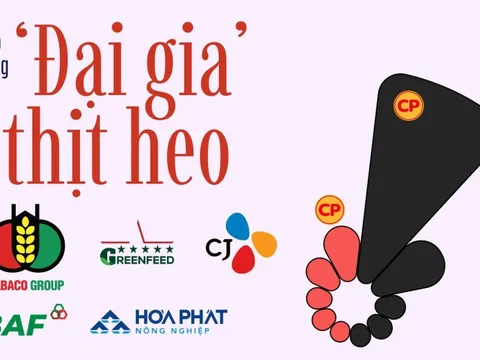 350.000 con heo nái đưa C.P. Việt Nam thống trị ngành heo, ‘đại gia’ Việt phất cờ chiếm lại thị trường?