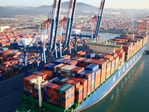Doanh nghiệp vận tải biển nguy cơ bị 'bào mòn' lợi nhuận