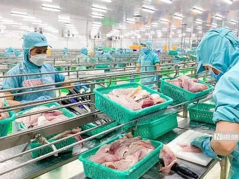 Biến số then chốt định hình bức tranh thủy sản Việt Nam