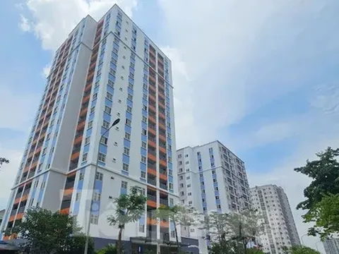 Chi 40 tỷ đồng cải tạo khu tái định cư bỏ hoang nhiều năm trên 'đất vàng' Hà Nội