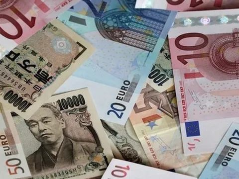 VND mất giá 14% so với Euro kể từ đầu năm, giảm 7-11% so với bảng Anh, yên Nhật, đô la Úc