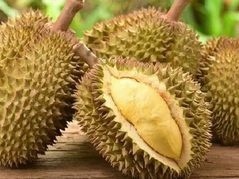 Thêm một đối thủ với sầu riêng Việt Nam ở thị trường Trung Quốc