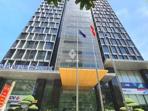 Cổ phiếu Vinaconex "có biến" sau thông tin về thương vụ 5.100 tỷ đồng tại dự án Cát Bà Amatina