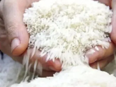Mỹ cảnh báo áp thuế cao hơn nếu Nhật Bản không nhập khẩu gạo