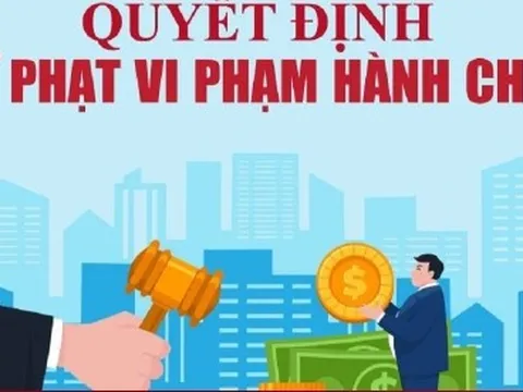 Vi phạm liên quan đất đai, môi trường, 2 công ty ở Lào Cai bị phạt hơn 700 triệu