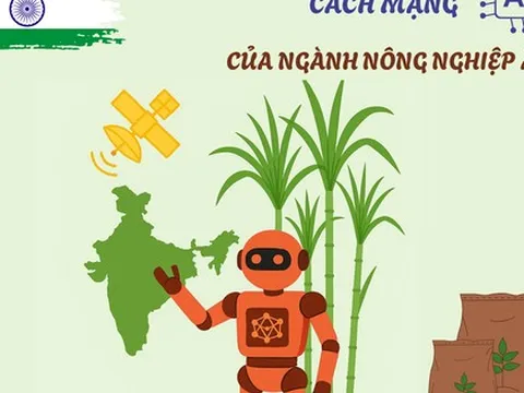 Khi loại nông sản tỷ đô của Ấn Độ gặp khó: AI, dữ liệu vệ tinh, cảm biến đất, máy bay không người lái lập tức vào cuộc