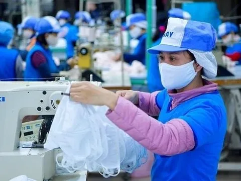 Tập đoàn dệt may Vinatex báo lãi bán niên cao nhất 3 năm, tăng 112% so với cùng kỳ