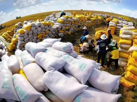 Giá gạo xuất khẩu giảm!