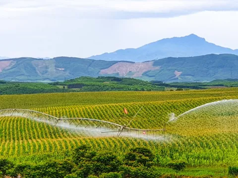 Bức tranh thiên nhiên ngút tầm mắt chỉ có ở nơi sản xuất sữa tươi sạch TH true MILK