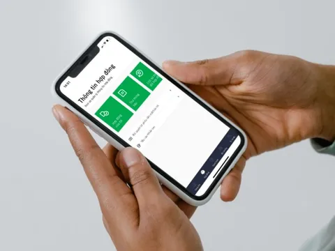 Manulife hỗ trợ chi trả nhanh cho khách hàng trong vụ lật tàu tại Hạ Long