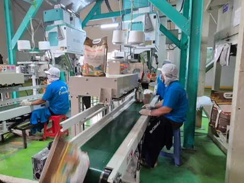 Xuất khẩu gạo không suôn sẻ