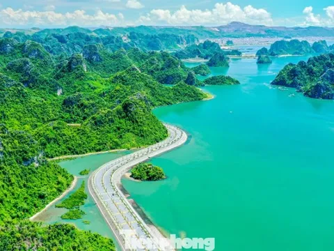 Ngắm vịnh Bái Tử Long từ tuyến đường bao biển đẹp nhất Việt Nam