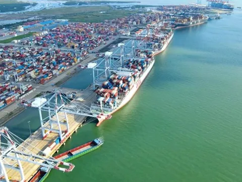 Viconship lãi 456 tỷ đồng sau 9 tháng đầu năm, tăng gần 50% so với cùng kỳ