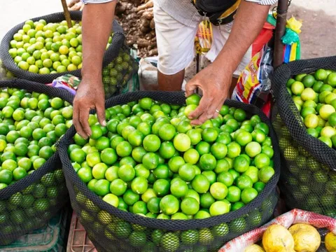 Loại quả bán đầy ở chợ Việt Nam giá cực rẻ - Sang trời Tây bỗng thành hàng hot, được các 'đại gia dầu mỏ' tranh mua như đặc sản