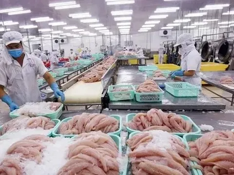 Xuất khẩu thuỷ sản có thể lập kỷ lục mới trong năm 2025
