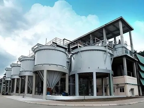 Phốt pho Apatit Việt Nam sắp chia cổ tức bằng tiền mặt tỷ lệ 100%