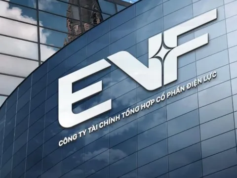 EVF hướng tới mục tiêu lợi nhuận 960 tỷ đồng năm 2025 sau tái định vị