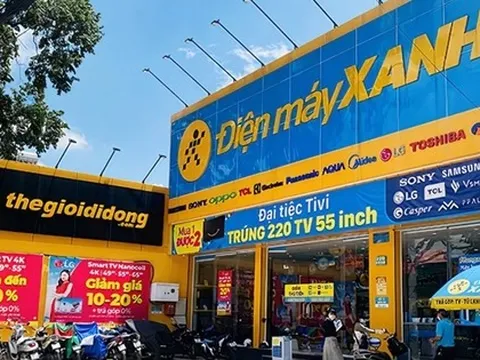Điện Máy Xanh trước IPO: Đứng ở đâu trên thị trường điện máy?