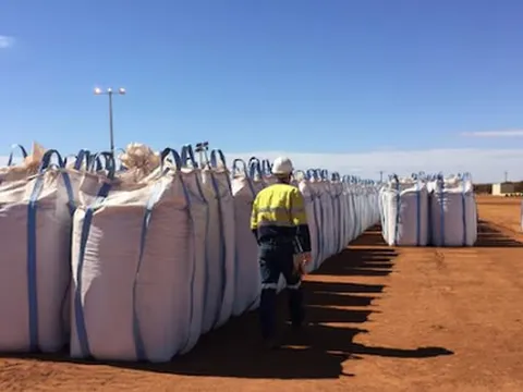 Trung Quốc, Nga đua nhau đưa một mặt hàng vào Việt Nam: Nước ta chi hơn 2 tỷ USD mua hàng, được mệnh danh ‘cứu tinh’ của nông sản