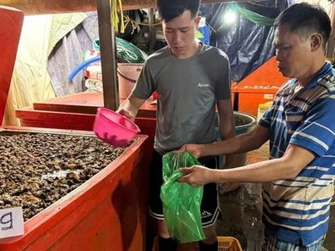 Công an TPHCM công bố hình ảnh bên trong cơ sở ngâm ốc bươu bằng hoá chất