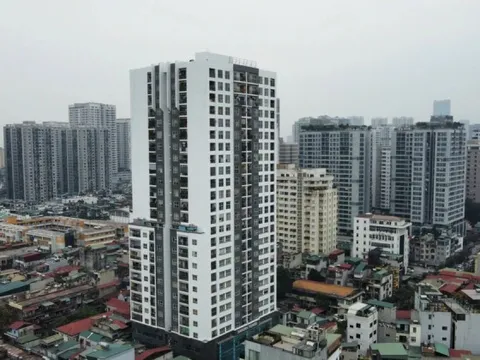 Doanh nghiệp BĐS nở rộ lập mới đầu năm, thị trường bước vào chu kỳ sàng lọc