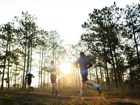 “F5” bản thân cho năm mới thêm phấn chấn cùng giải chạy Dalat Ultra Trail 2026