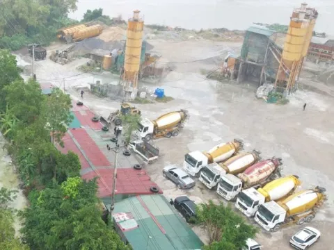 Khởi tố trạm trưởng trạm bê tông thuộc Công ty Việt Trung