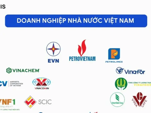 Nhiều doanh nghiệp nhà nước vào diện cơ cấu lại vốn
