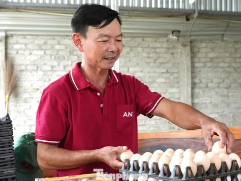 Khởi nghiệp với 5 triệu đồng, anh chủ thu về hàng chục tỷ đồng từ một loài 'quái thú siêu trứng'