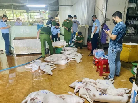 Siết kiểm soát từ lò mổ đến chợ truyền thống trước Tết Bính Ngọ 2026