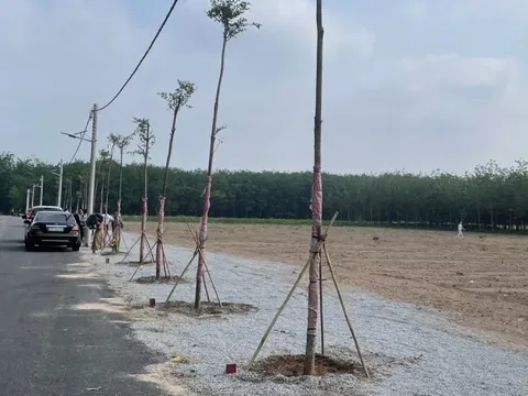 HoREA: Đề xuất bổ sung cơ chế xử lý “lối đi chung” khi hợp thửa đất tại Tp.HCM