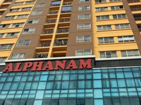 Cơ cấu cổ đông của Alphanam E&C thế nào?