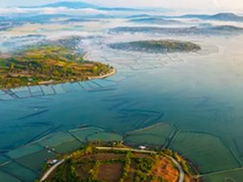 “Ông lớn” xây dựng Trung Quốc cùng Vingroup xây cầu Tứ Liên muốn đầu tư ít nhất 3,5 tỷ USD vào một tỉnh miền Trung có diện tích rộng thứ 3 cả nước