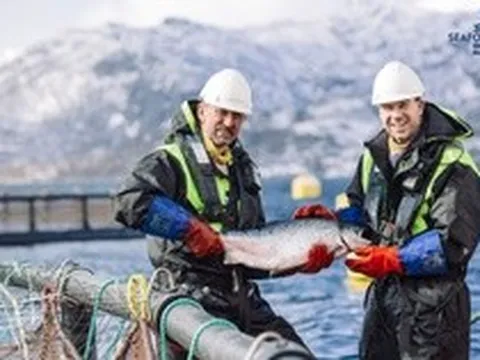 Bí quyết đứng sau vị thế hàng đầu của ngành cá hồi Na Uy